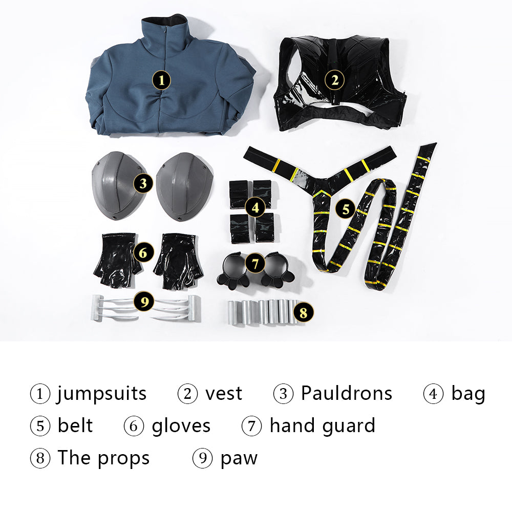 Absolute Universe Absolute Catwoman Selina Kyle Cosplay Costumes