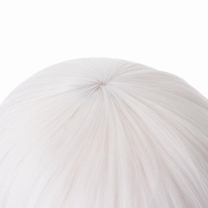 Anime re life in a different world from zero echidna white long cosplay wig 400ga